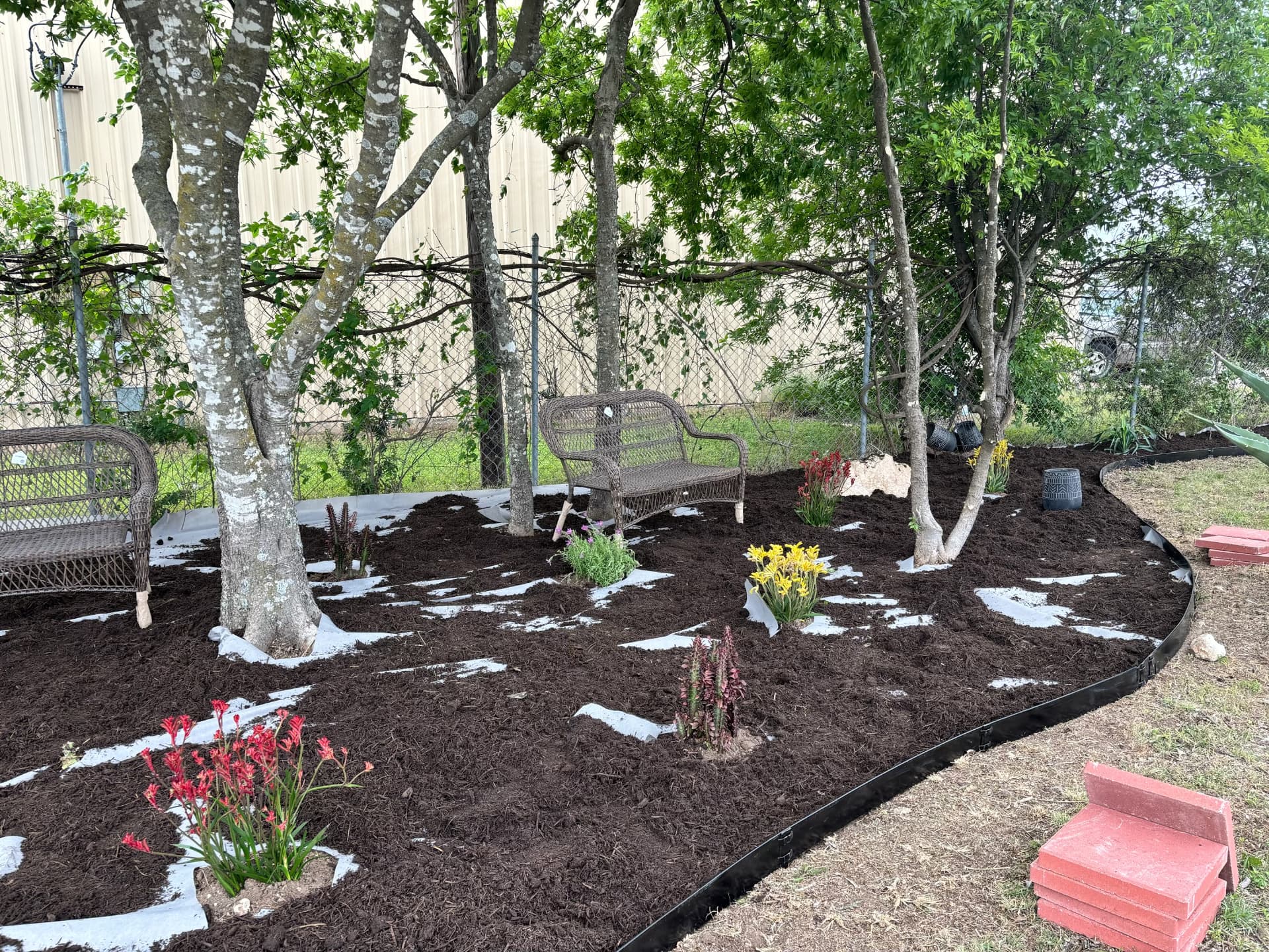 Freshly mulched memorial garden bed with new plantings and shaded benches